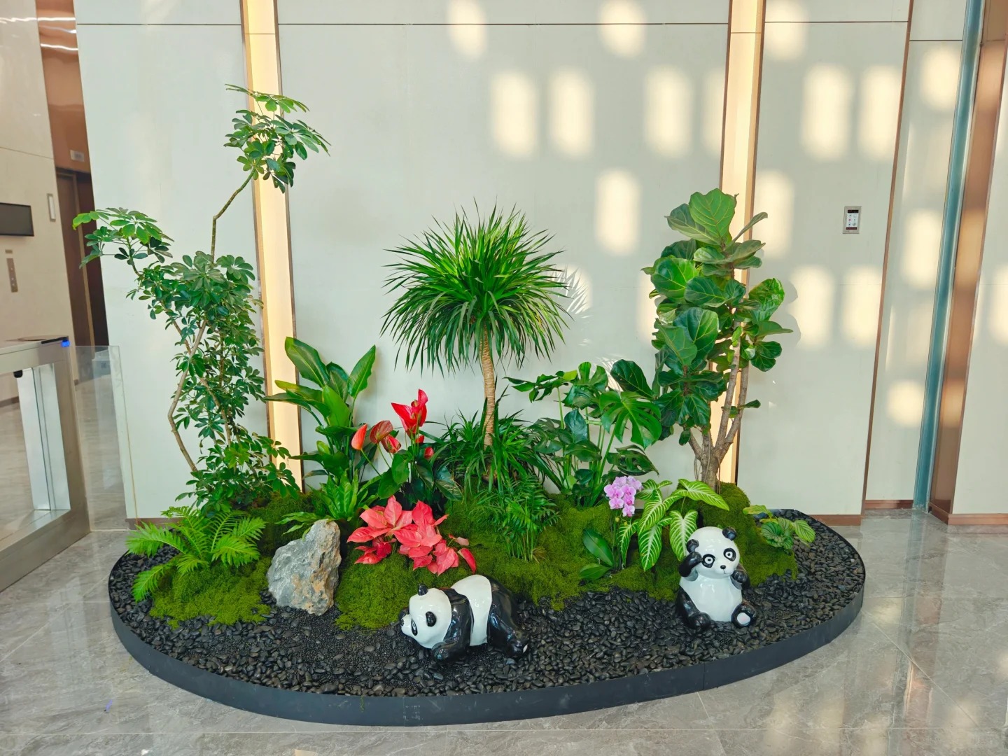 专业植物租摆，前湾公司为您精心打造